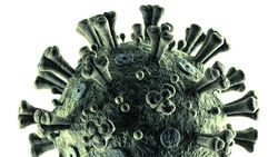 Dépistage du Covid-19: fin des disparités
