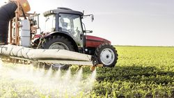 Pesticides: tous contaminés!