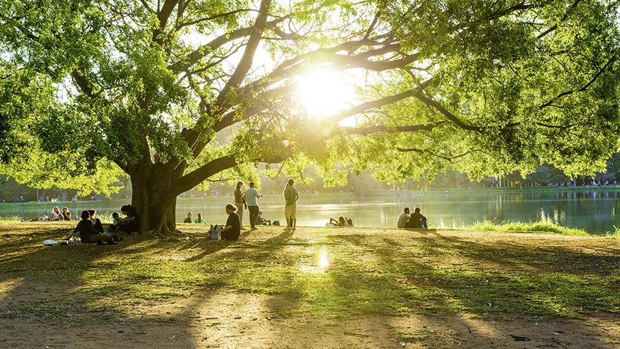 138 millions gaspillés pour la vitamine D