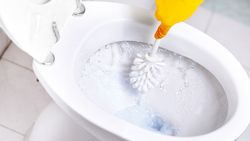 Efficacité mitigée pour les pastilles WC