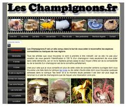 Toutes les infos sur les champignons
