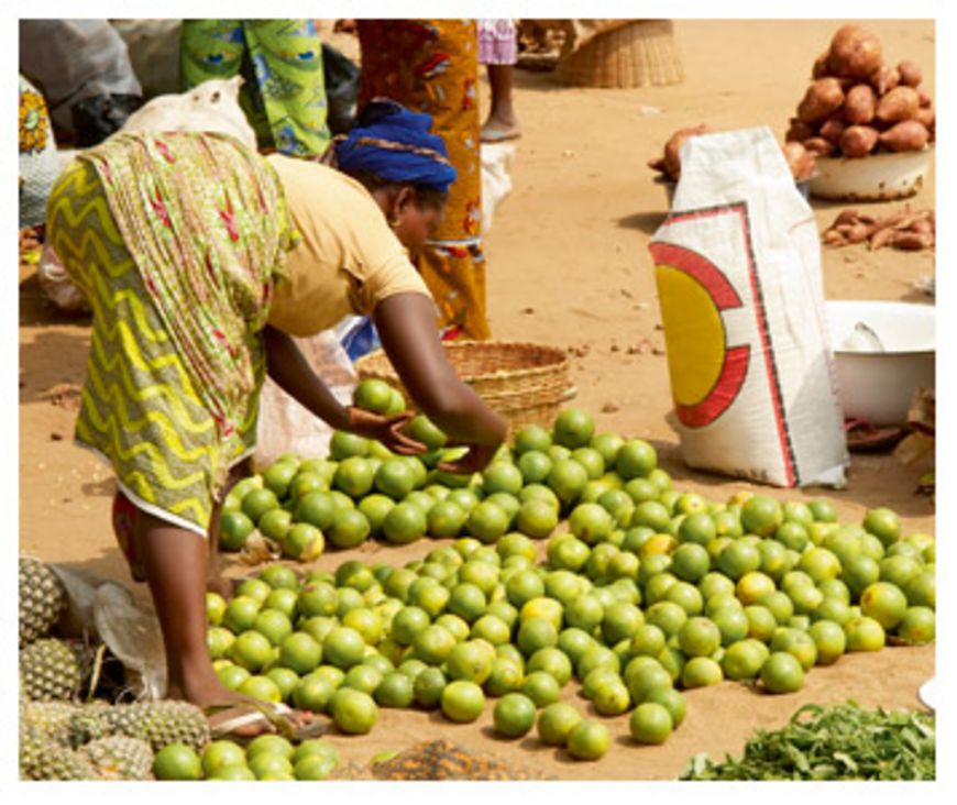 Microfinance