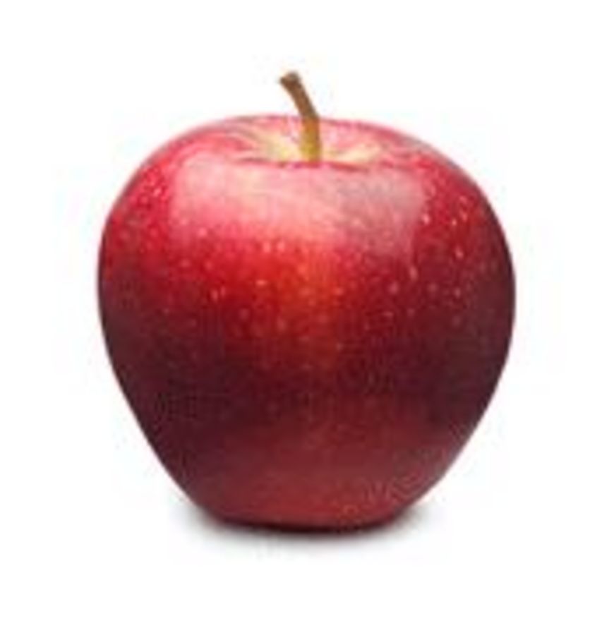 La pêche avec les fruits   
