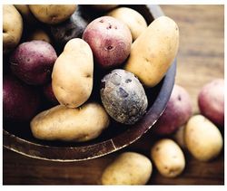 La patate entre mythes et réalité
