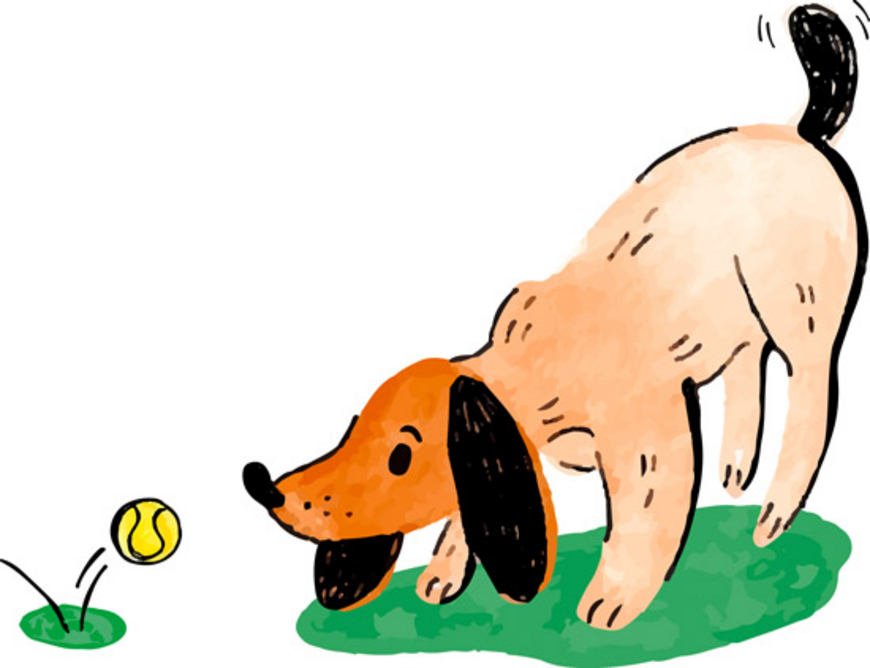 Un chien à la maison