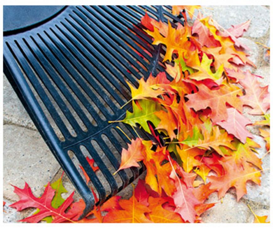Chanson des feuilles mortes