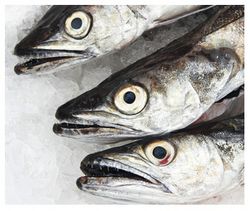 Le filet de merlu se fait la malle