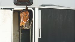 À cheval sur la loi
