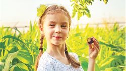 Les pruneaux ne comptent pas pour des prunes