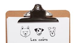 Des canidés qui coûtent un bras