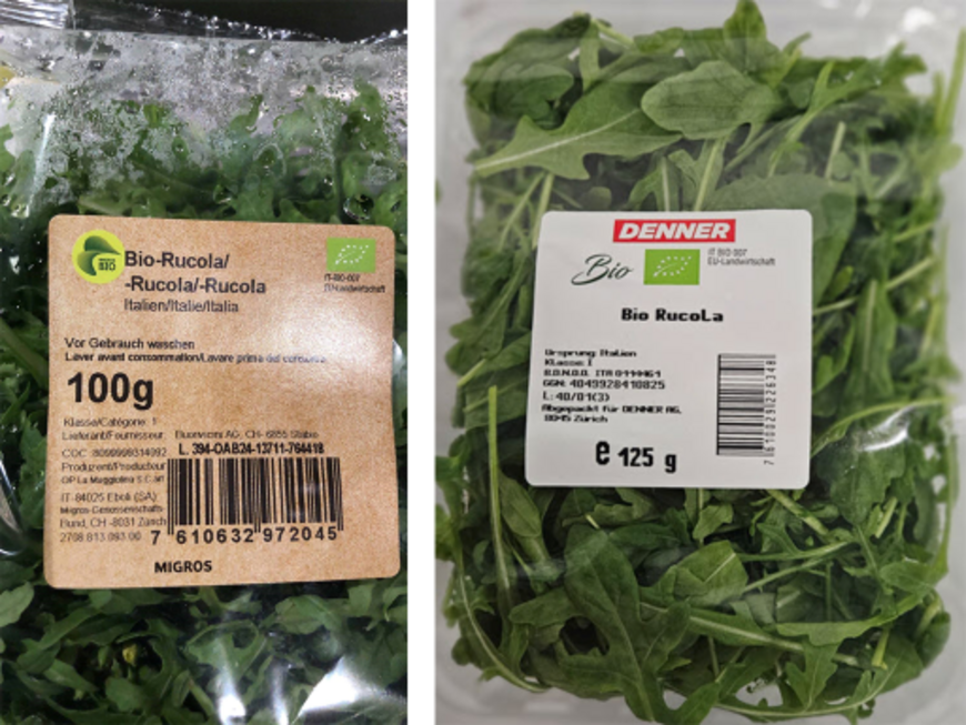 Mise en garde publique : présence de salmonelles dans la roquette d’Italie vendue dans le commerce de détail 