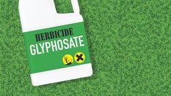 71 produits homologués en Suisse contenant du glyphosate
