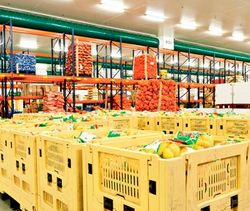 Fruits et légumes «frais» vieux d’un an