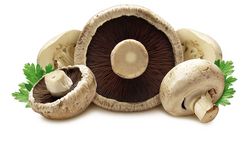Le champignon de Paris, sous-estimé 