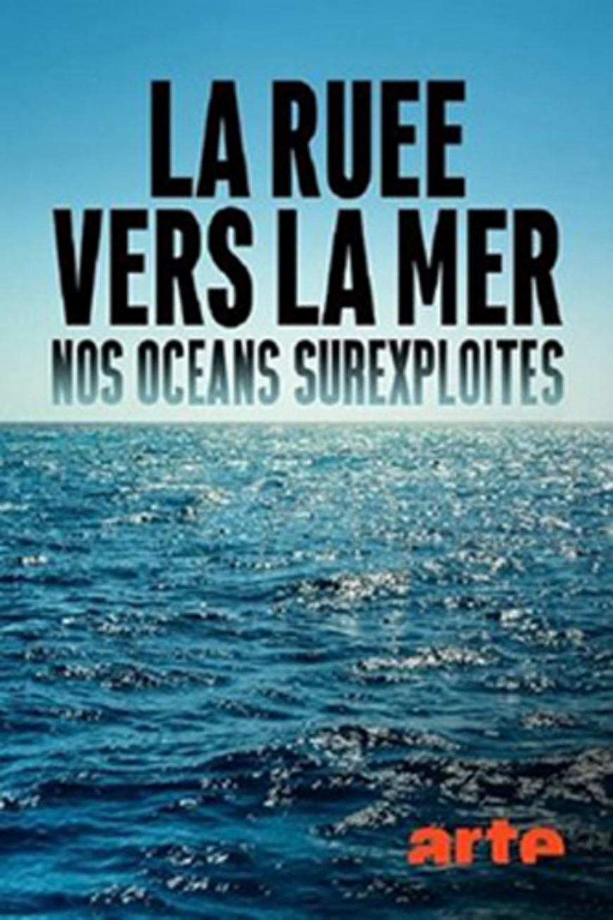 Mers et océans sous pression