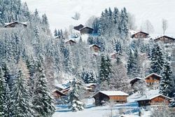 Pas de vacances à l’œil