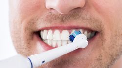 Des poils arrondis préservent les gencives