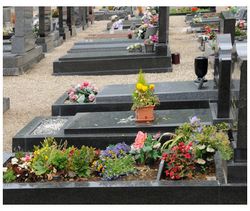 Régler son compte à la mort 