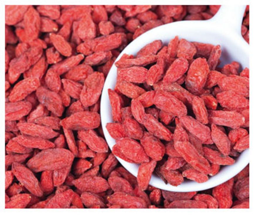 Baie de goji: un fruit tendance