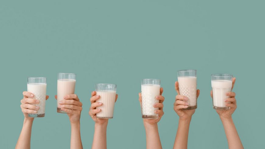 Lait de vache, de chèvre ou de brebis, lequel choisir?