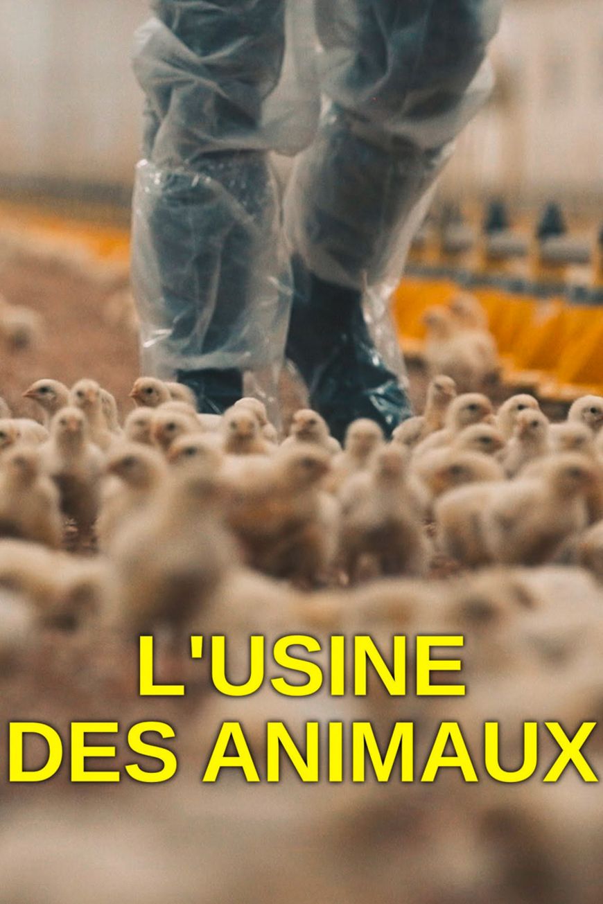 Les animaux objets au nom du profit