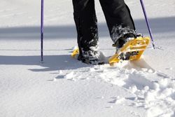 Randonnées hivernales: enfin la carte en ligne!