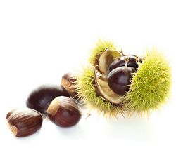 Marrons ou châtaignes? 