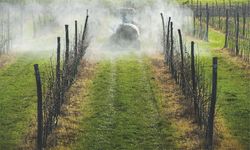 Ces substances qui sentent le soufre