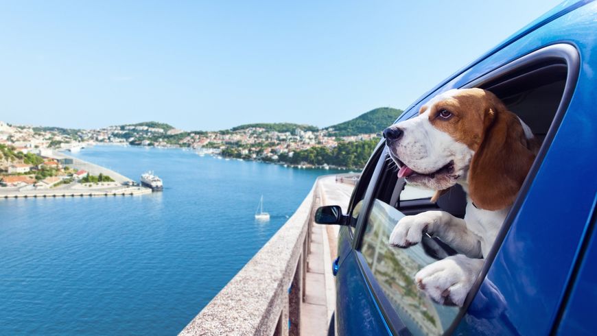 Mes vacances quand je veux?