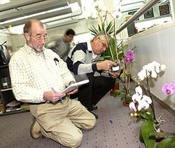 à la recherche de belles plantes