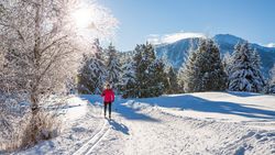 Fart des skis: du poison pour les poissons