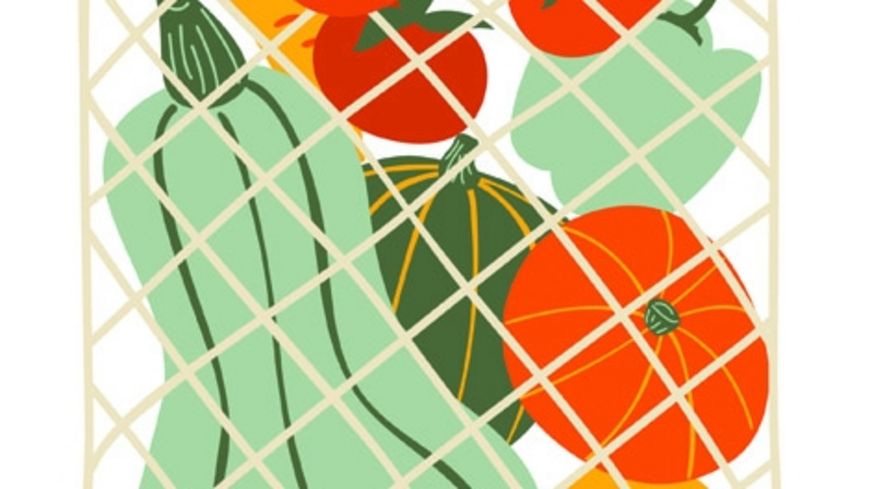 Des fibres alimentaires contre les AVC