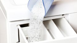 Les produits écologiques portent bien leur nom