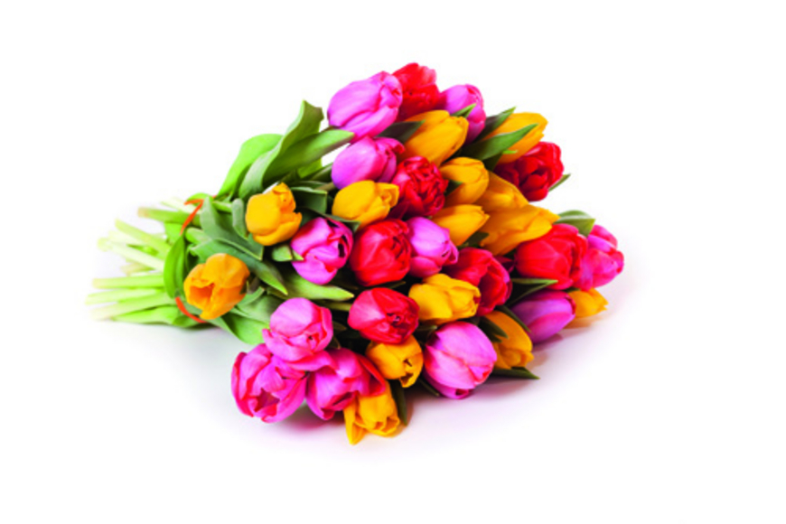 Repérer les fleurs fraîches