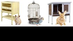 Des cages souvent trop petites sur internet