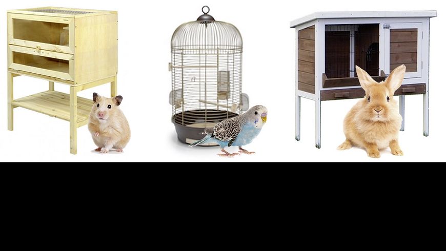Des cages souvent trop petites sur internet