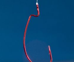 Un site contre l’hameçonnage