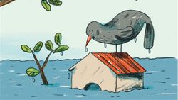 Parer au feu, à l’eau et au vent