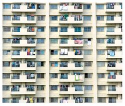  Destin helvétique: locataire à vie