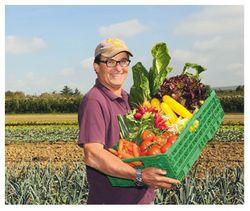 Un panier comme écrin de la proximité