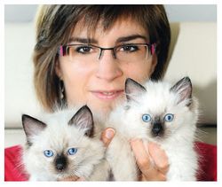 Chat et bénéfice ne riment pas