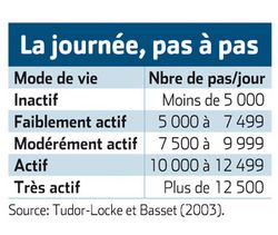 Objectif: 10 000 pas par jour