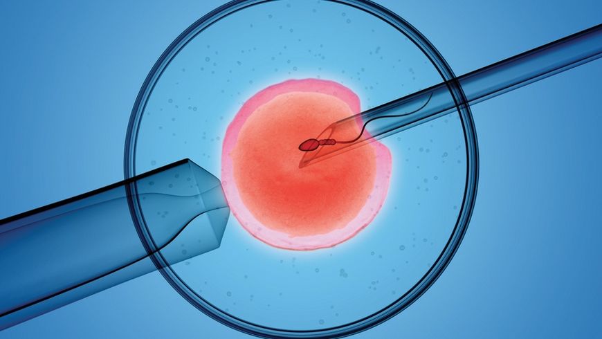 La fécondation in vitro toujours pas remboursée par les assurances