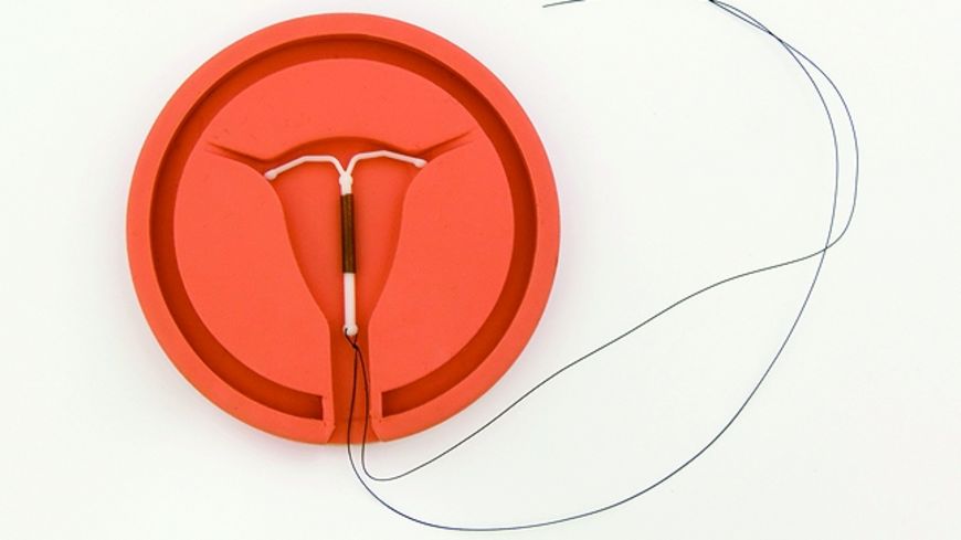 Cervical Cancer Risk