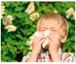 Les allergies sous la loupe
