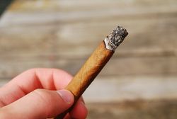 Cigarillos: un bel écran de fumée