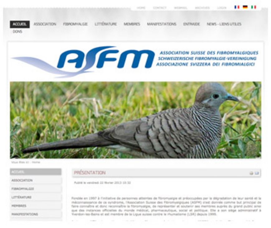 Tout sur la fibromyalgie