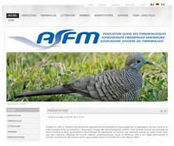 Tout sur la fibromyalgie
